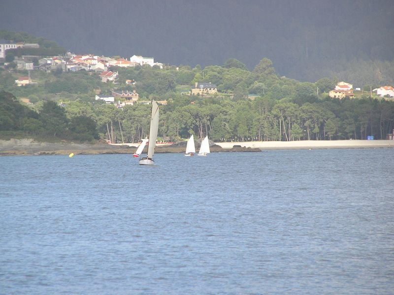 VII Regata 2009 Des 104