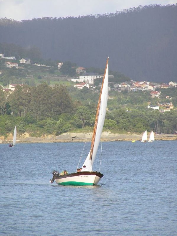 VII Regata 2009 Des 105