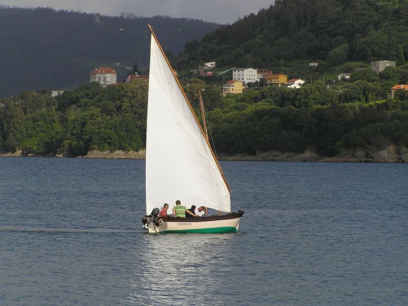 VII Regata 2009 Des 107