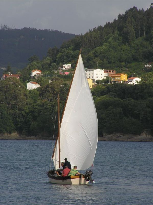 VII Regata 2009 Des 109