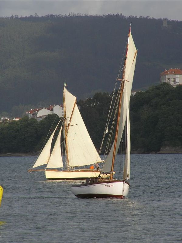 VII Regata 2009 Des 113