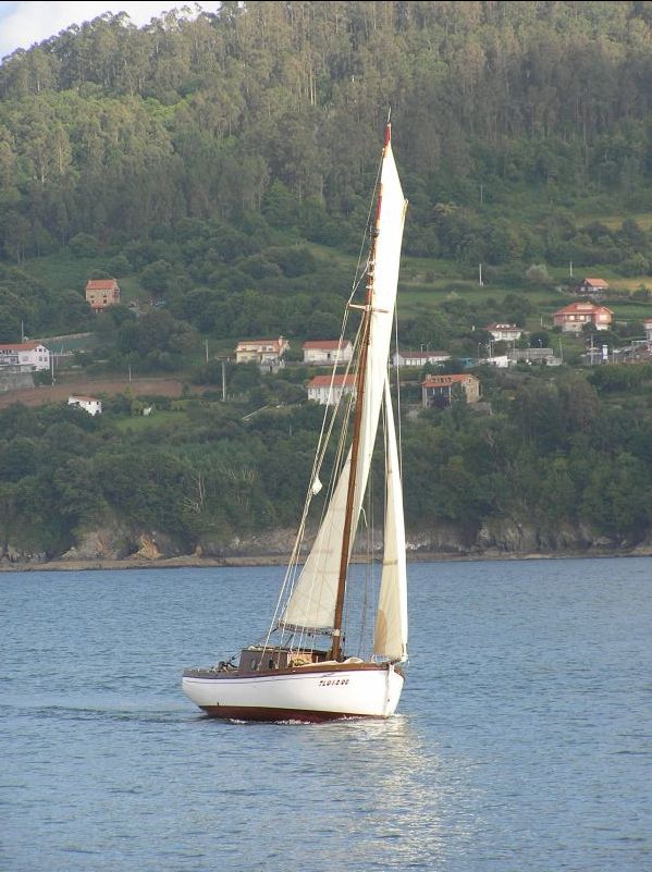 VII Regata 2009 Des 115