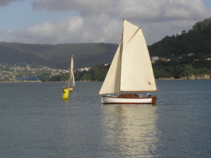 VII Regata 2009 Des 118