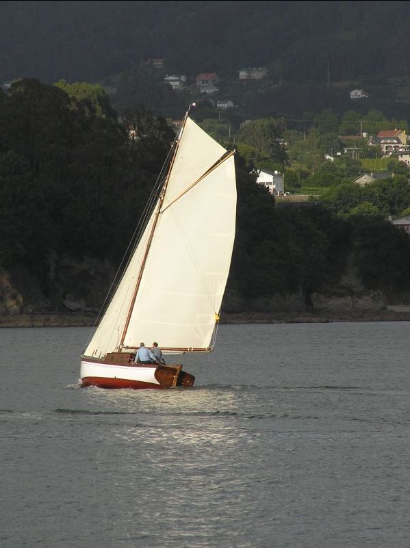 VII Regata 2009 Des 124