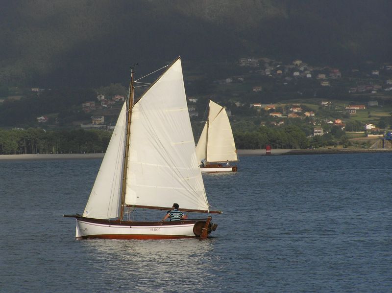 VII Regata 2009 Des 129