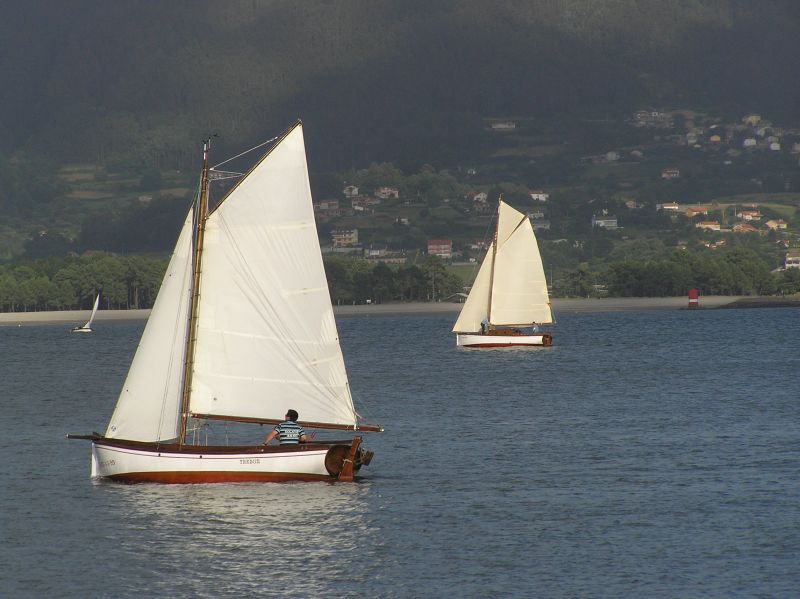 VII Regata 2009 Des 130
