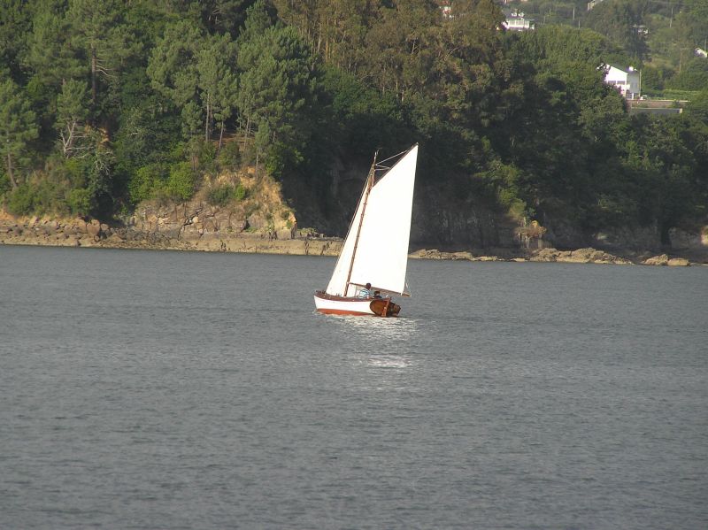 VII Regata 2009 Des 131
