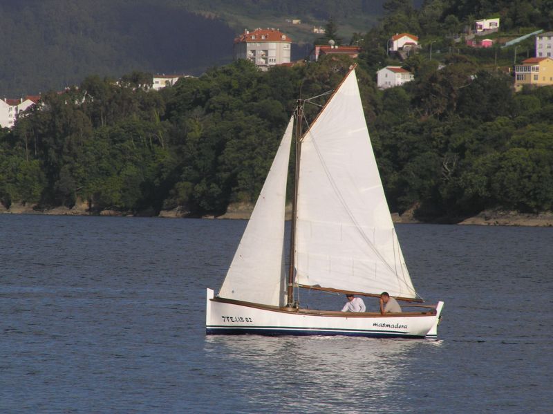 VII Regata 2009 Des 134