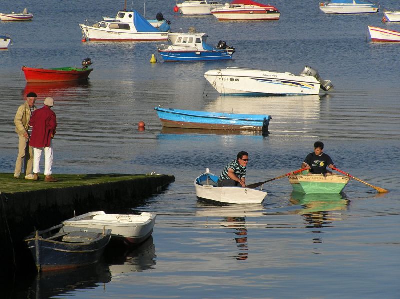 VII Regata 2009 Des 140