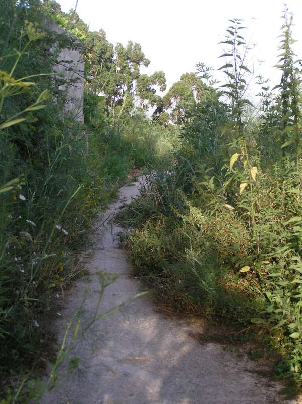 Paseo Herbo-Marítimo