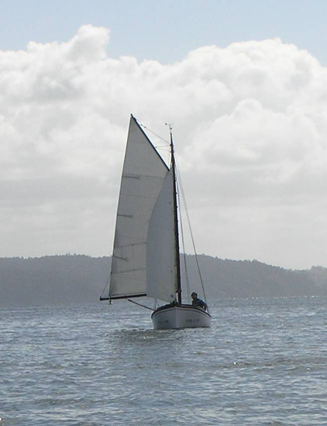 VII Regata 2009 Desafíos