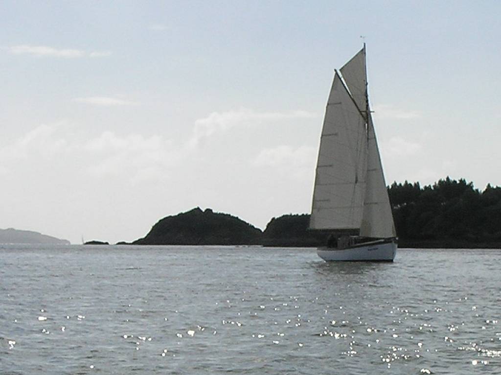 VII Regata 2009 Desafíos