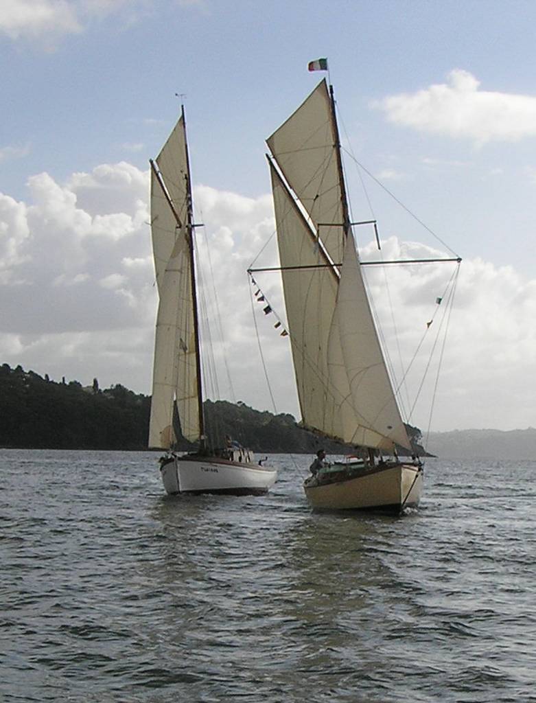 VII Regata 2009 Desafíos