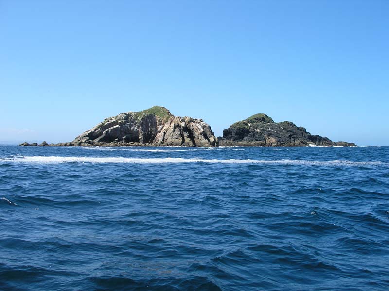 Travesia Redes 09_15