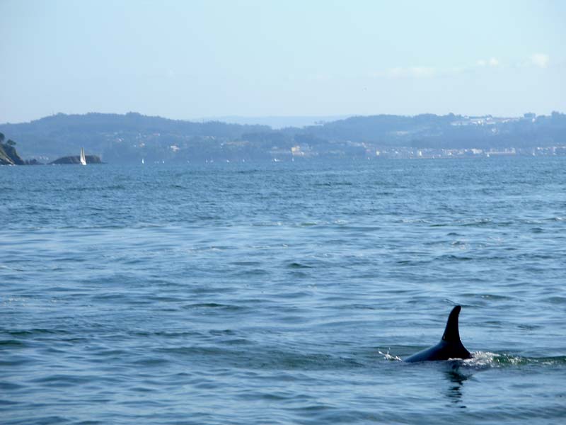 Travesia Redes 09_34