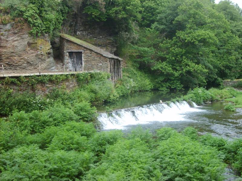 Triacastela A Samos 100529 FAR 014