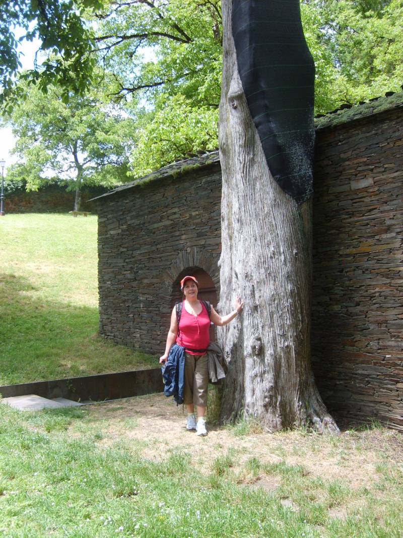 Triacastela A Samos 100529 FAR 024