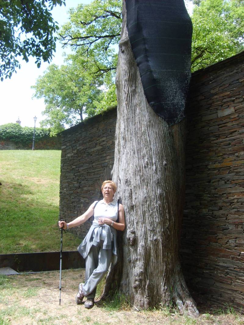 Triacastela A Samos 100529 FAR 025