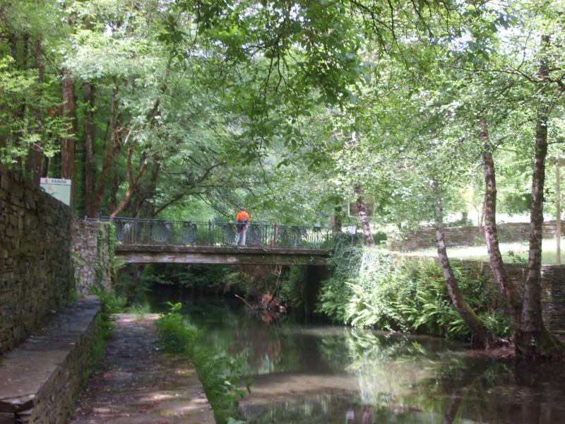 Triacastela A Samos 100529 FAR 028