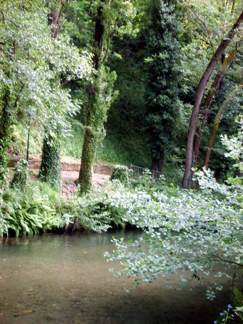 Triacastela A Samos 100529 FAR 030