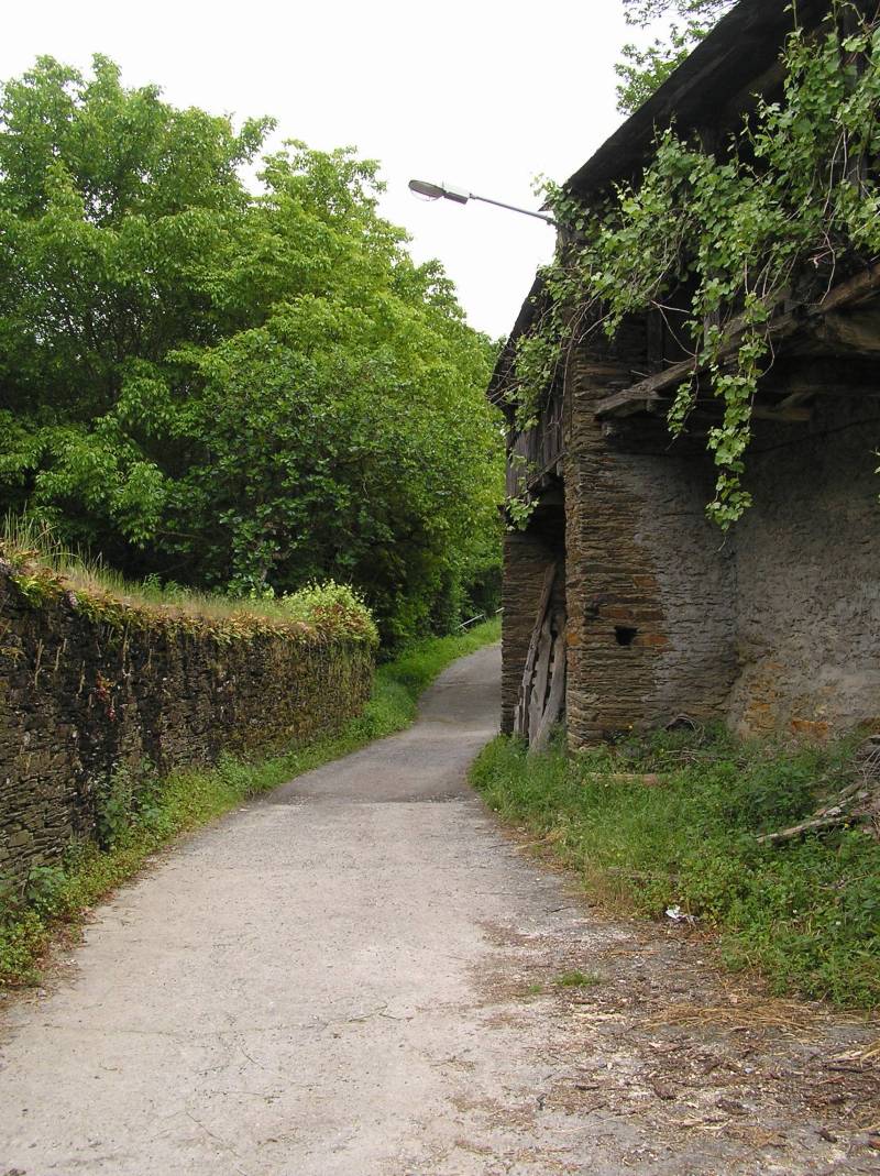 Triacastela A Samos 100529 RVA 023