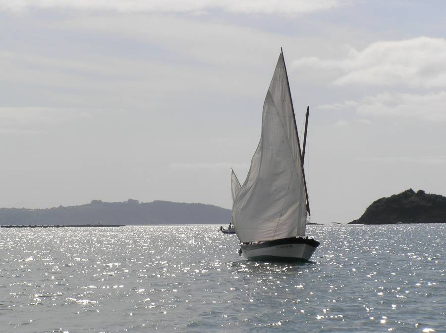 Desafios Vela Tradicional 2010 201