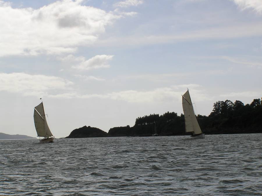 Desafios Vela Tradicional 2010 300