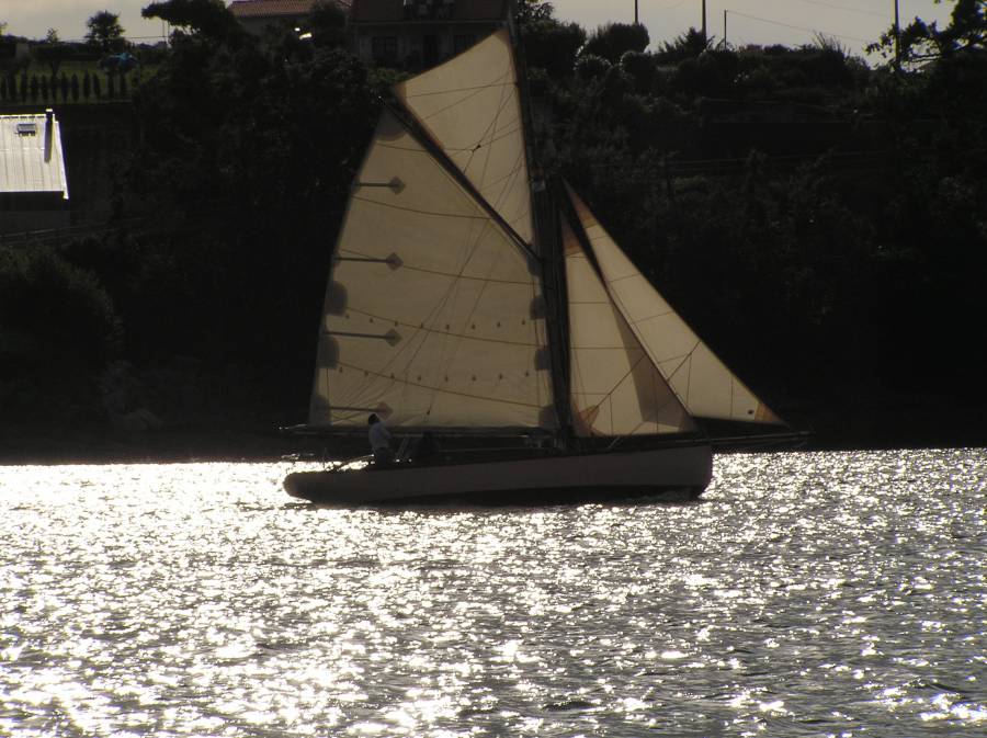 Desafios Vela Tradicional 2010 544