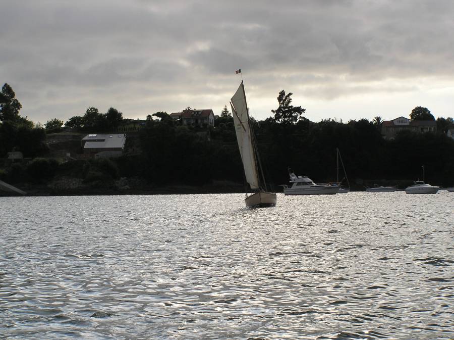 Desafios Vela Tradicional 2010 550