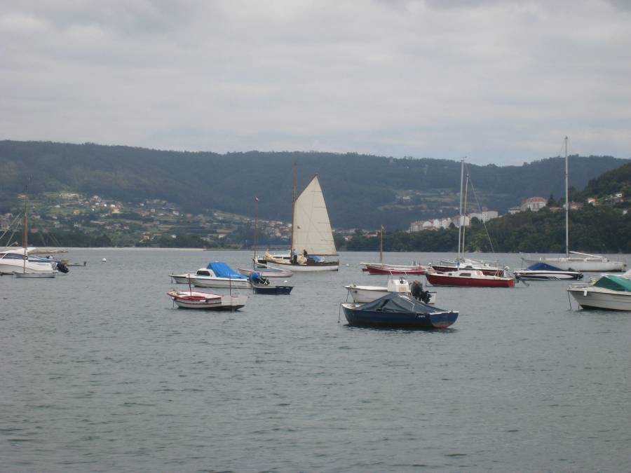 Desafios Vela Tradicional 2010 611