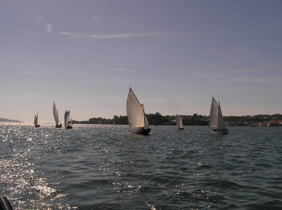 Vela Tradicional 2010 B033