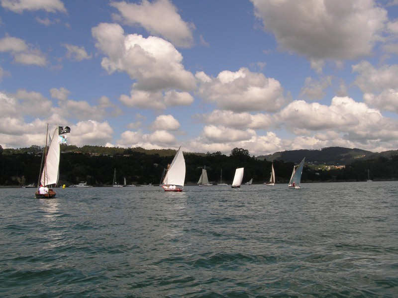 VRegata RVA 153