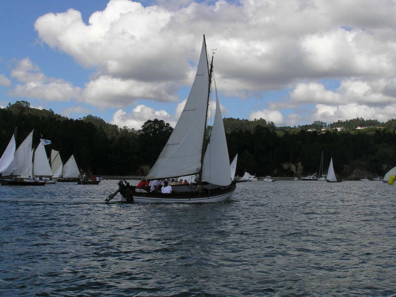 VRegata RVA 194