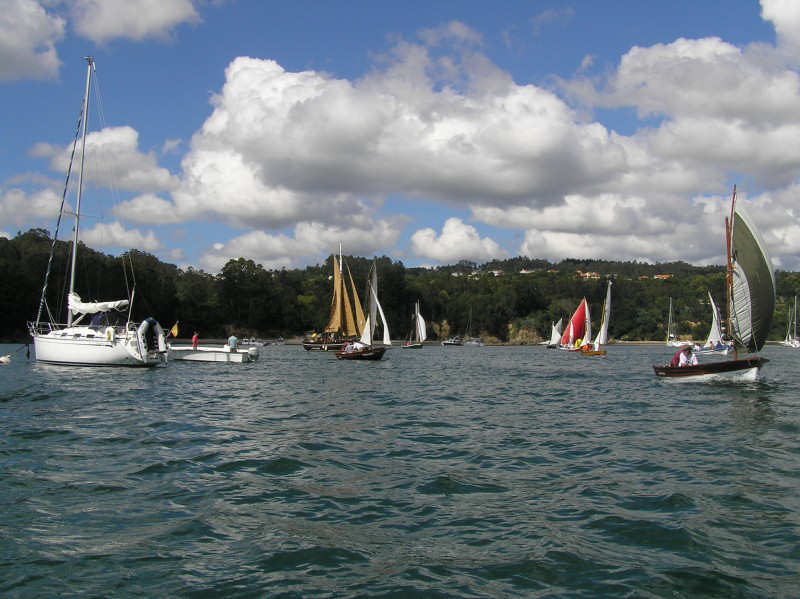 VRegata RVA 206