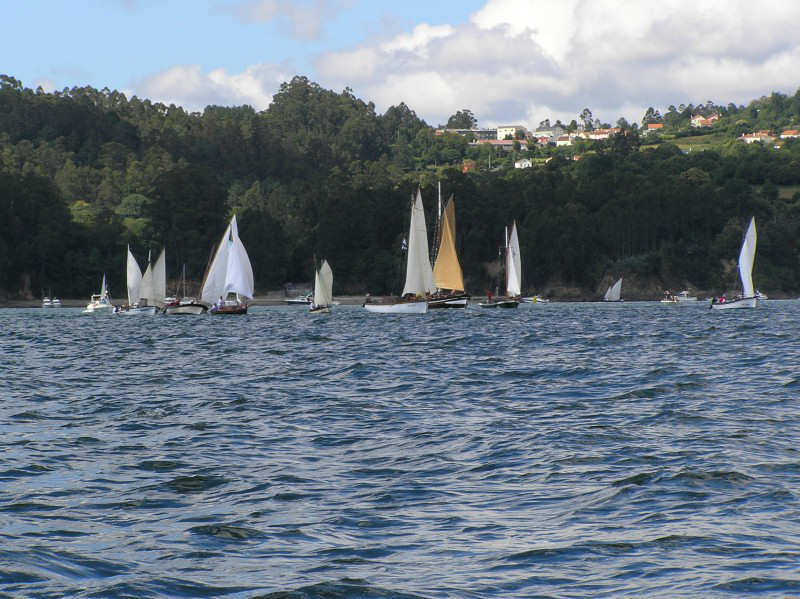 VRegata RVA 224