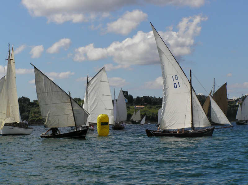 VRegata RVA 234