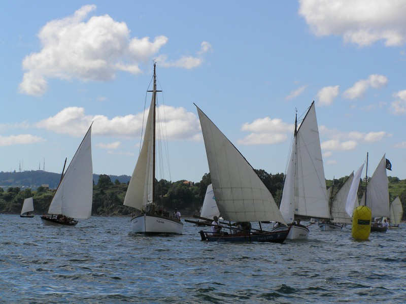 VRegata RVA 235