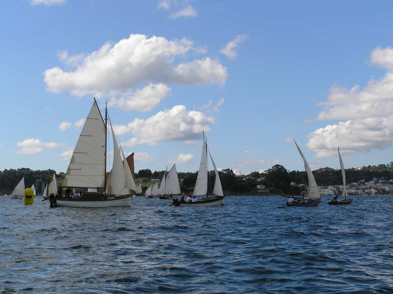 VRegata RVA 236