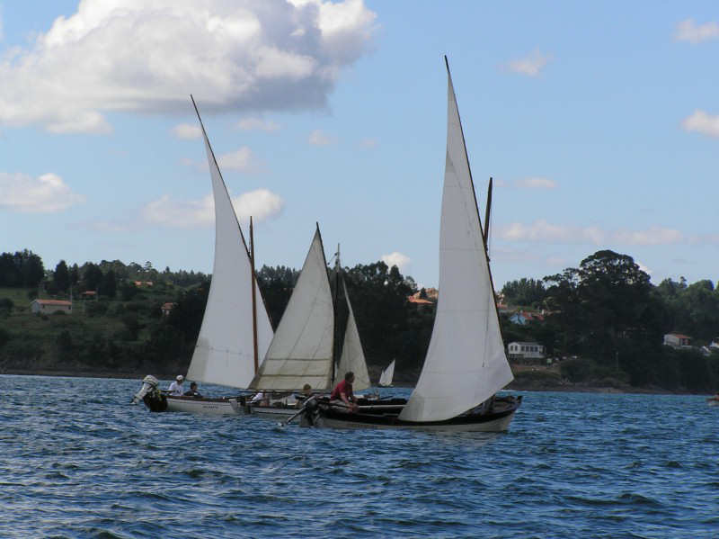 VRegata RVA 239