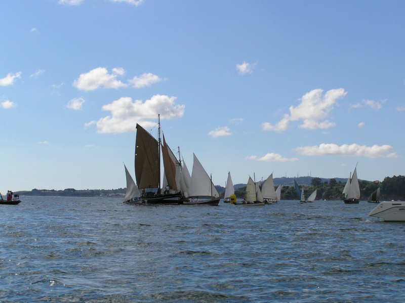 VRegata RVA 241