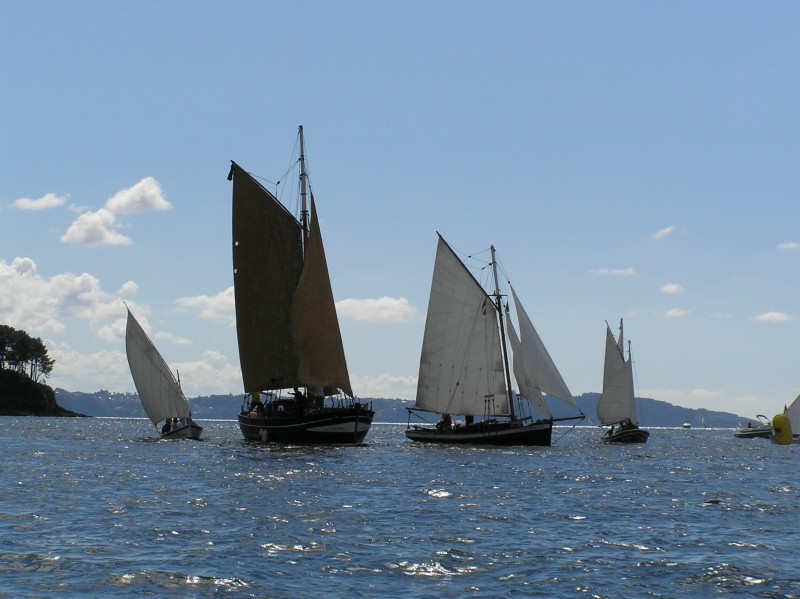 VRegata RVA 242