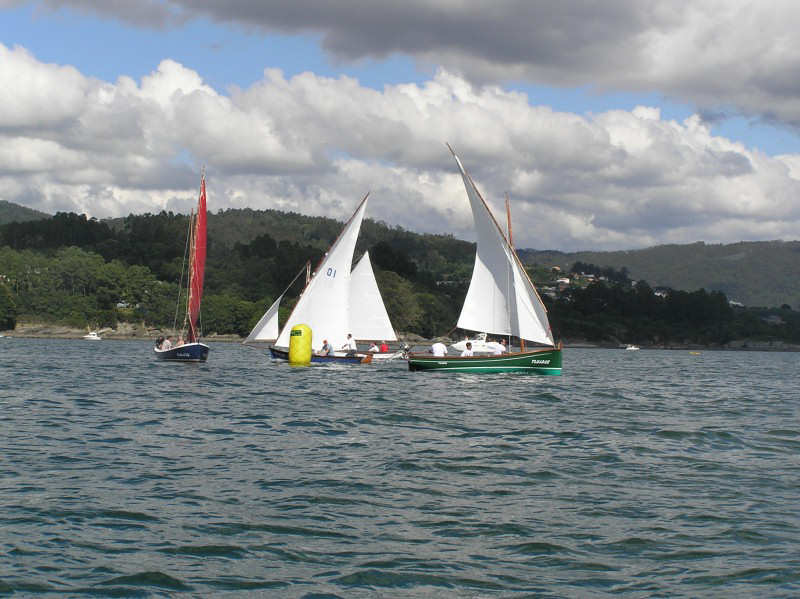 VRegata RVA 252