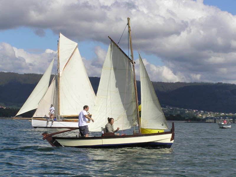 VRegata RVA 291