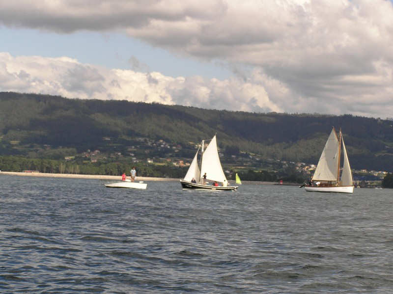 VRegata RVA 296