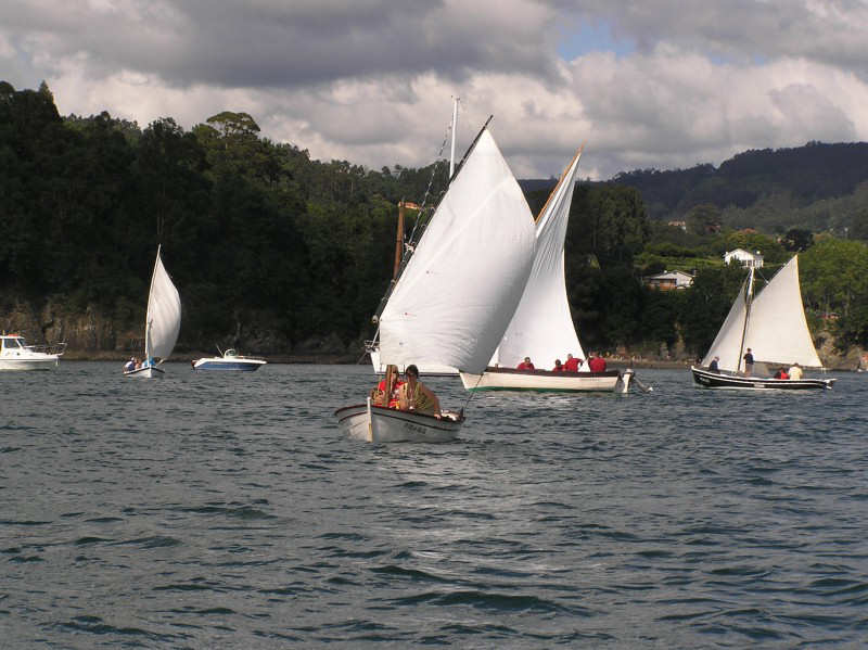 VRegata RVA 298