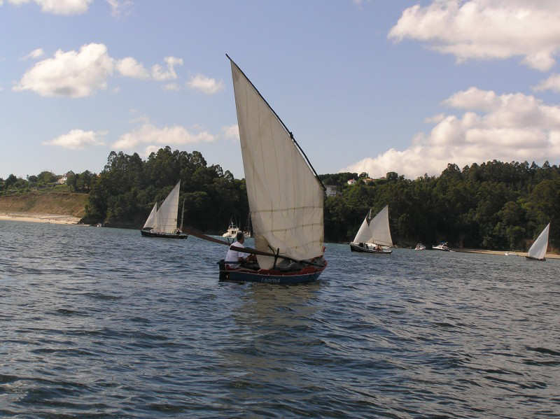 VRegata RVA 309