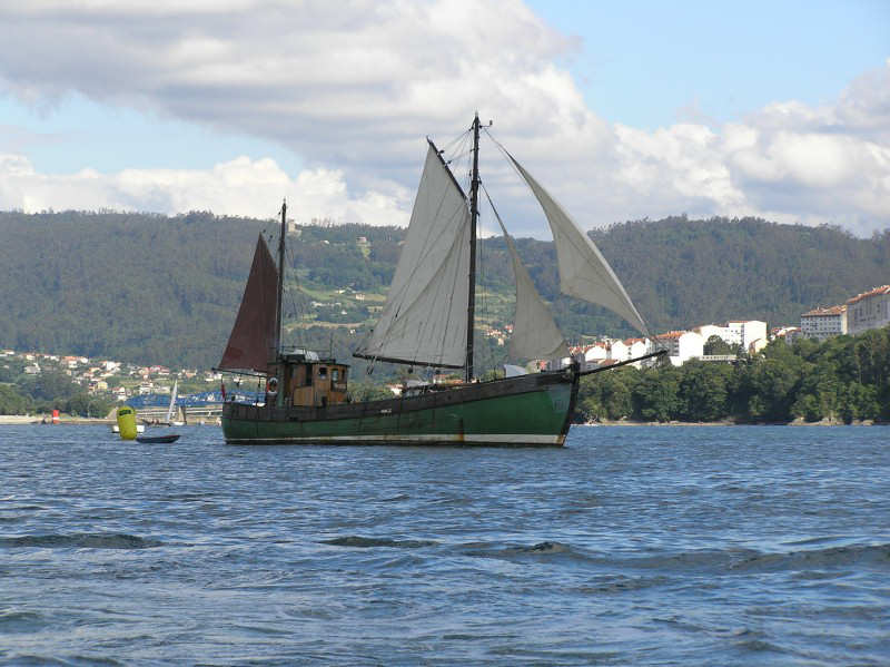 VRegata RVA 328