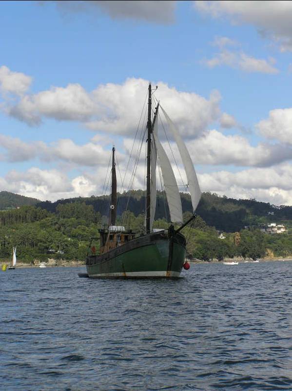 VRegata RVA 343