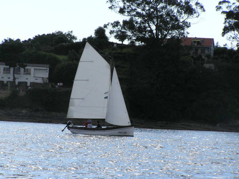 VRegata RVA 346