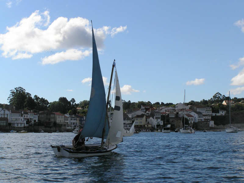 VRegata RVA 352